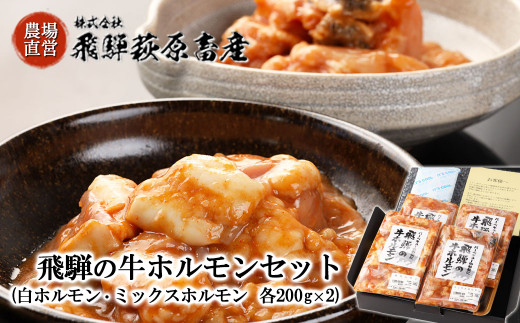 
2種類を食べ比べ！飛騨の牛ホルモンセット 計800g（白ホルモン 200g×2・ミックスホルモン 200g×2）国産 牛肉 ブランド牛 和牛 BBQ バーベキュー 【冷凍配送】
