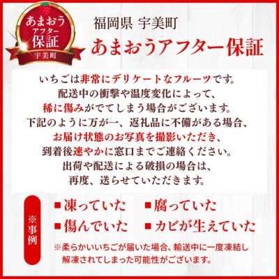 【2026年発送先行受付】【宇美】フルーツ専門店が選んだ「あまおう苺」春4パック【配送不可地域：離島】