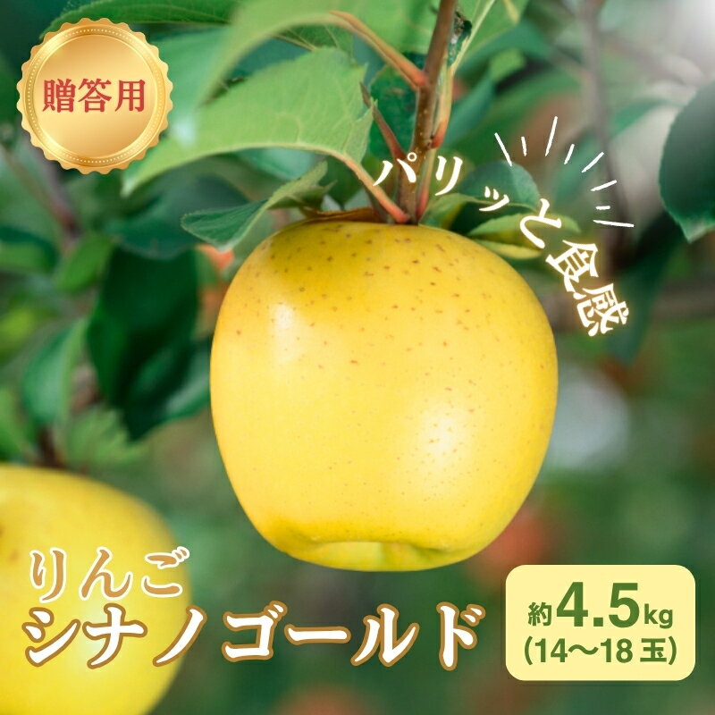 【ふるさと納税】りんご 長野 贈答用 リンゴ シナノゴールド 約4.5kg（14玉～18玉） 産地直送 ギフト プレゼント 贈答 贈答品 贈り物 フルーツ 果物 デザート おやつ 秋 旬 信州 長野県　お届け：2025年11月上旬～12月上旬