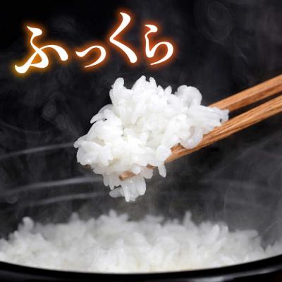 ふるさと納税 糸島市 糸島産ヒノヒカリ3kg×2袋 平山農園 米 白米 [AXN004] |  | 01