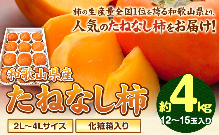 【秋の味覚】【先行予約】和歌山産のたねなし柿2L～4Lサイズ約4kg（化粧箱入り）《2026年10月上旬-11月上旬頃出荷》かき種なし---wsh_gsk165_10j11j_25_17000_4kg---
