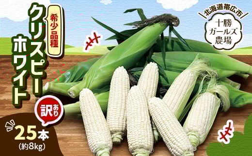 
先行受付＜十勝ガールズ農場＞訳あり 希少品種「クリスピーホワイト」25本【1462034】
