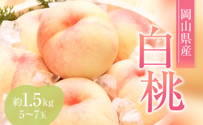 桃 2027年 先行予約 赤磐の 白桃 約1.5kg 5～7玉 JA晴れの国 糖度センサー選果 もも モモ 岡山県 赤磐市産 国産 フルーツ 果物 ギフト デザート 果肉 