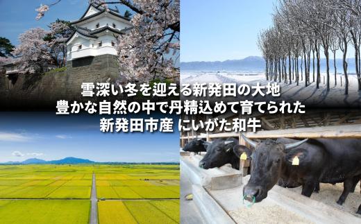 肉 和牛 焼肉スライス 400g にいがた和牛 黒毛和牛 牛肉 ギフト 贈答用 グルメ お取り寄せ 新発田市産 ごちそう 精肉 新潟県 新発田市 yoneichi007