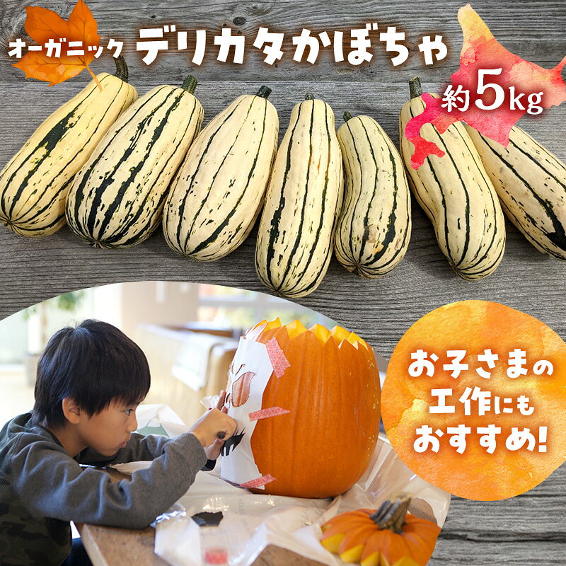 【ふるさと納税】【2026年発送】 オーガニック かぼちゃ デリカタ BOX 約5kg 有機栽培 南瓜 カボチャ 北海道 倶知安 ニセコグリーンファーム　お届け：2026年9月下旬～11月下旬