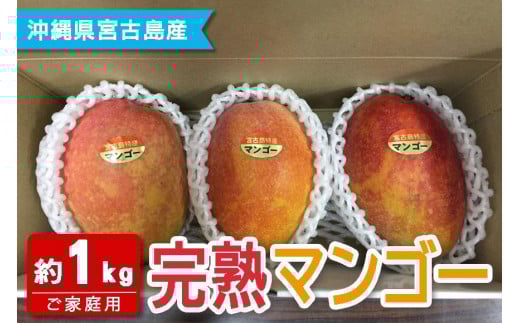 FQ011　【宮古島産マンゴー】ご家庭用 1kg（2-3玉）マンゴーファーム宮古島
