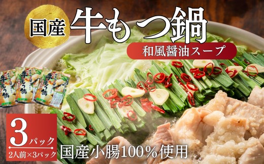 【国産牛小腸のみ使用】 国産 牛もつ鍋 750g（合計 6人前 250g(2人前)×3P）和風醤油味 牛もつ 小腸 100% 小分け 簡単調理 冷凍配送 東松島市 佐利 AG
