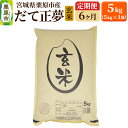 【ふるさと納税】《定期便6ヶ月》【令和6年産・玄米】宮城県栗原産 だて正夢 毎月5kg (5kg×1袋)×6ヶ月