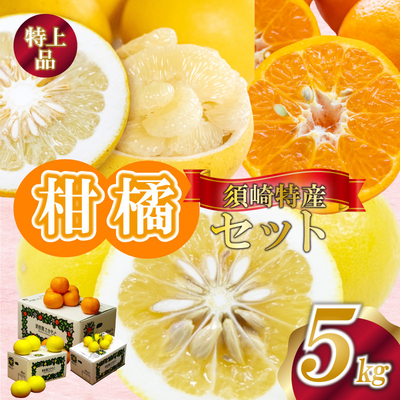 
            定期便 3回 限定50セット 須崎特産柑橘 特上品 各 5kg 箱セット ポンカン 土佐文旦 小夏 ポンカン 土佐 文旦 ぶんたん ブンタン 小夏 こなつ 時期 人気 旬 柑橘 フルーツ 果物 高知 須崎 KJS4000
          