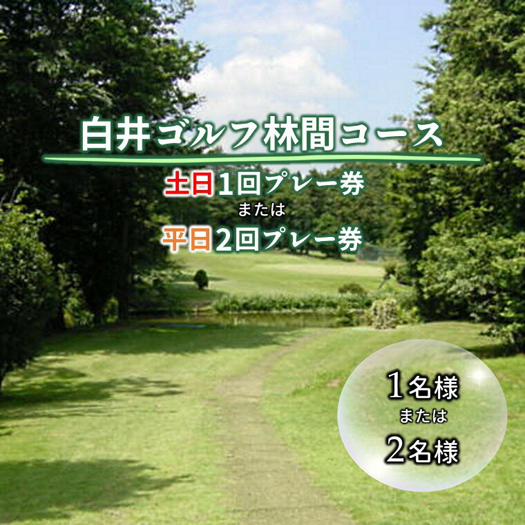 【ふるさと納税】ゴルフプレー券 白井ゴルフ林間ショートコース 9ホール 平日・休日 プレー券 お一人様でも回れるゴルフ場