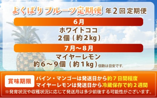 マツコの知らない世界で紹介！幻のホワイトココ＆青切りマイヤーレモンの定期便 年2回に分けてお送りします《2027年6月以降発送》| 先行予約 パイナップル レモン ホワイトココ マイヤーレモン フルー