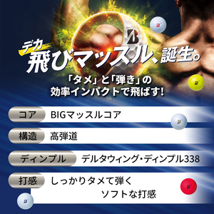 ゴルフ 23TOUR B JGR ＆ PHYZ 20ダース セット ゴルフボール ボール ブリヂストン JGRホワイト/PHYZパールホワイト 各10