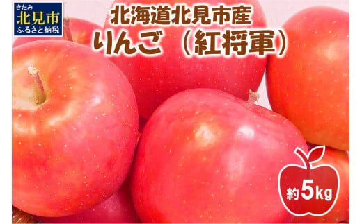 【予約：2025年10月下旬から順次発送】北海道北見市産 りんご 紅将軍 約5kg ( 果物 果実 蜜 旬 季節限定 数量限定 果肉 )【044-0007-2025】