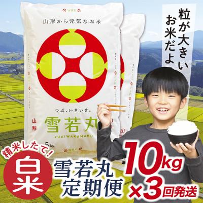 ふるさと納税 最上町 【毎月定期便】買い忘れなしで美味しい雪若丸10kg(白米)が届く全3回
