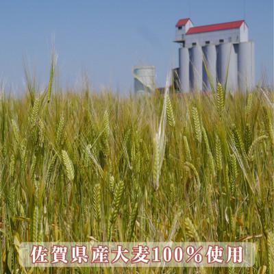 ふるさと納税 佐賀県 佐賀県産まるつぶ麦茶 300g(20g×15P)8本セット[A15701-08](佐賀県) |  | 02