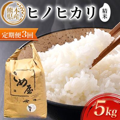 ふるさと納税 玉名市 【毎月定期便】熊本県産ヒノヒカリ(精米) 5kg全3回