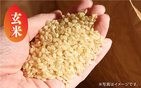 山間地 湧水米 ヒノヒカリ 玄米 20kg【「のん気・元気」百姓家】[YAL003]