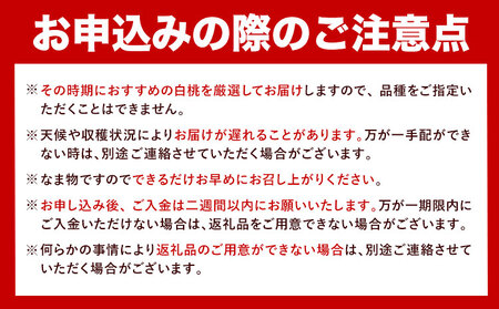 岡山白桃 エース 約1.8kg 株式会社はちや 【配送不可地域あり】