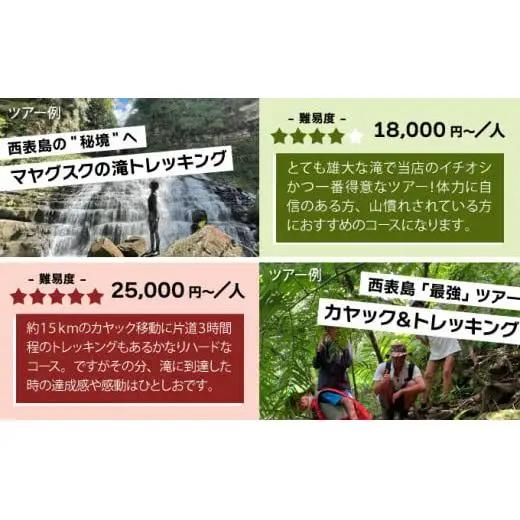 旅行券 沖縄 チケット 西表島 アクティビティ ツアーチケット 3,000円 旅行 旅行 体験 観光 