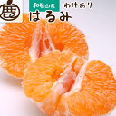 【ふるさと納税】＜2月より発送＞家庭用 はるみ2.5kg+75g（傷み補償分）【デコポンの姉妹品種・新食感春みかん】【光センサー選別】【わけあり・訳あり】 | フルーツ 果物 くだもの 食品 人気 おすすめ 送料無料 不知火・デコポンの姉妹品種 わけあり