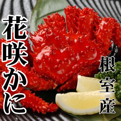 ふるさと納税 根室市 ＜12/21まで年内配送＞★花咲かに500〜650g×6尾 D-30043