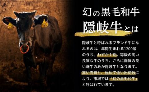 【幻の隠岐牛】島育ちの本物のブランド黒毛和牛サーロイン・上赤身ステーキセット400g