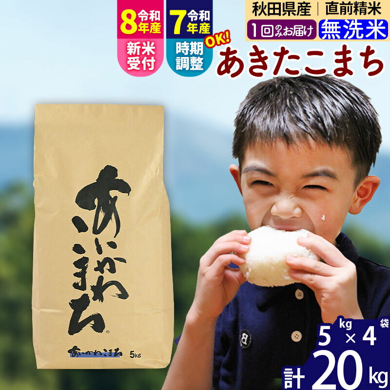 【ふるさと納税】※令和7年産／R8産新米予約※ 秋田県産 あきたこまち 20kg【無洗米】(5kg小分け袋)【1回のみお届け】2025年産 2026年産 令和8年産 お届け時期選べる お米 藤岡農産 [藤岡農産 秋田 お米 あきたこまち 米どころ 東北]