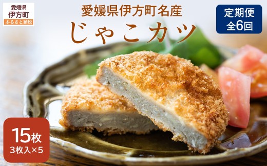 【定期便】【愛媛県伊方町名産】じゃこカツ（3枚入り×5パック）全6回【ふるさと納税 人気 おすすめ ランキング じゃこカツ じゃこ天 アレンジ すり身 すり身フライ 愛媛県 伊方町 送料無料】IKTI022