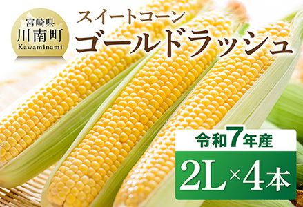 【令和7年発送】宮崎県産とうもろこし　スイートコーン「ゴールドラッシュ」2L×4本【新鮮 農家直送 トウモロコシ 産地直送 季節限定 期間限定 宮崎県産 九州産】