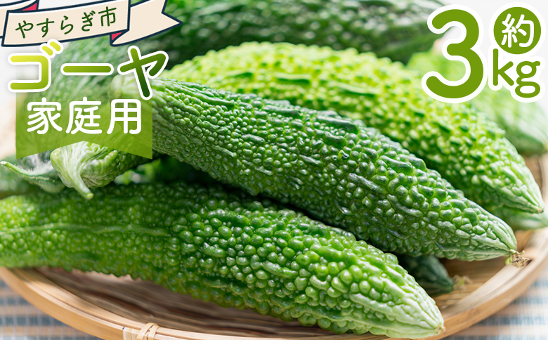 【2025年10月以降順次発送】ゴーヤ 3kg 家庭用 - 国産 野菜 青果 ごうや 苦瓜 天ぷら 炒め物 ご家庭用 不揃い 傷 やすらぎ市 高知県 香南市 常温 yr-0075