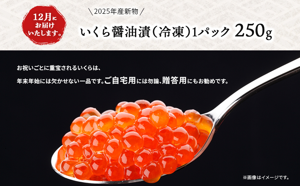 【12月お届け先行予約】【2025年産新物】北海道産 いくら醤油漬（冷凍）250g ABAB006