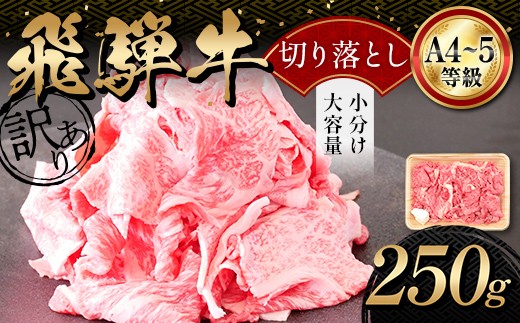 A4等級以上 飛騨牛 焼肉 切り落とし 250g 牛肉 ブランド牛 肉 切落し わけあり ぎゅうにく にく ひだぎゅう ひだうし 訳あり 商品 ワケアリ 不揃い 大容量 切り落とし きりおとし 小分け 冷凍 ネオプライムヒグチ 食品 訳有 焼肉セット 焼肉用 選べる 肉のひぐち F6M-331