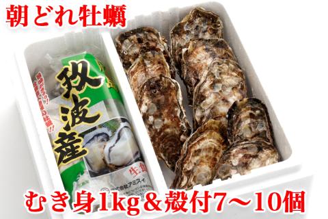 むき身＆殻付 牡蠣 Aセット｜朝どれ 生牡蠣 生かき 生がき 生カキ 生ガキ 広島県産 宮島 瀬戸 [1745]