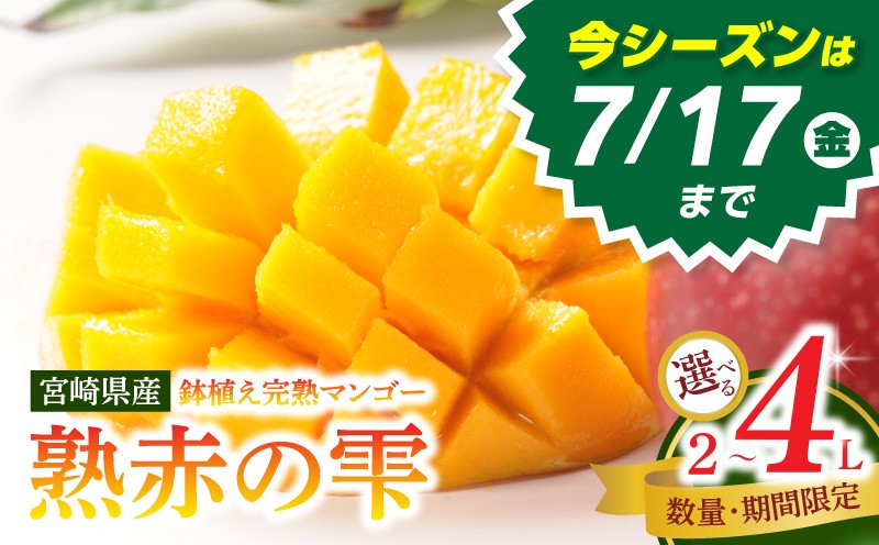 
                  《2026年発送》【サイズが選べる】【数量・期間限定】宮崎県産鉢植え完熟マンゴー 熟赤の雫(あかのしずく)_M168-005-SKU
                