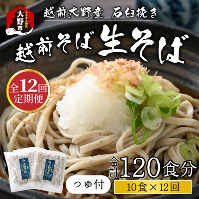 ふるさと納税 大野市 【12ヶ月定期便】越前大野産 石臼挽き 越前そば 生そば10食 × 12回 計120食(つゆ付)