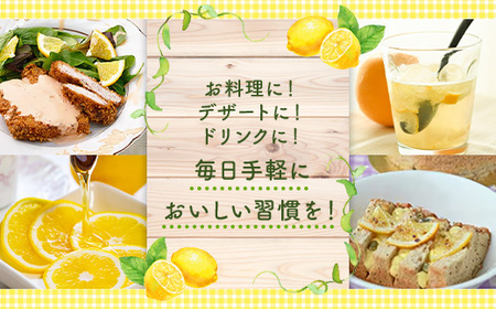 瀬戸内マイヤーレモン 果汁 100% すっきりストレート果汁 1000ml 3本 無添加 岩国産 瀬戸内【神東ファーム】