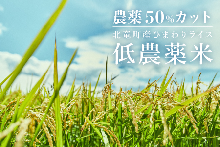 【先行予約】【令和6年産】新米  ななつぼし、発芽玄米 計3kg 低農薬米 北海道北竜町産【0502-R6】