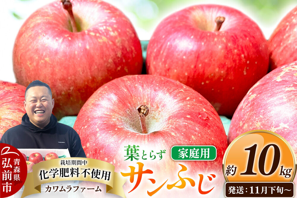 【26年11月下旬～発送】りんご 葉とらず サンふじ【家庭用】約10kg【先行受付】カワムラファーム 青森県 弘前市 果物 フルーツ 林檎 リンゴ くだもの 不揃い 規格外 [先行予約 産地直送 アッ