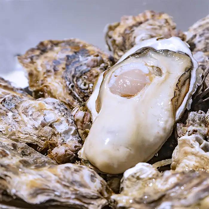 殻付き牡蠣（生食用）冷凍 18個（約1.5kg） 生牡蠣 宮城県産 牡蛎 牡蠣 カキ かき 生食 オイスター カキフライ 牡蠣鍋 海鮮 国産 魚貝類 バーベキュー BBQ 【末永海産株式会社】ta679