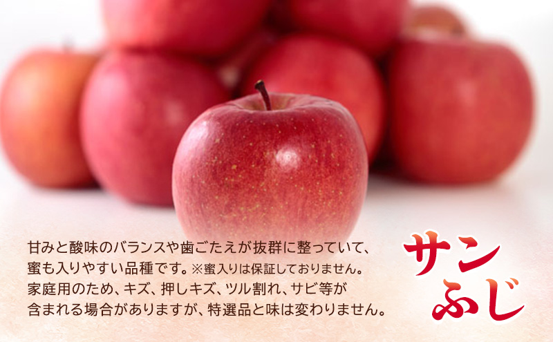 12月発送【糖度13度以上 サンふじ】家庭用 約3kg 8～12玉程度 ASIAGAP認証農場 津軽農園 【弘前市産・青森りんご】