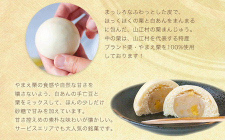 熊本県山江村産 やまえ栗衛門 栗まんじゅう・びっ栗だんご詰め合わせ 株式会社 やまえ《60日以内に順次出荷(土日祝除く)》