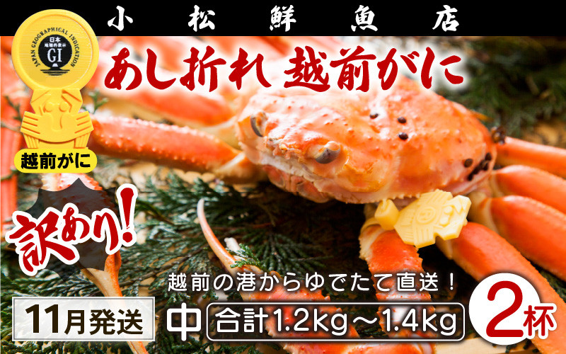 
            【訳あり】足折れ 越前がに 中サイズ × 2杯（1杯600～700g）地元で喜ばれるゆで加減・塩加減で越前の港から直送！【雄 ズワイガニ ずわいがに 姿 ボイル 冷蔵 福井県】【11月発送分】希望日指定可 備考欄に希望日をご記入ください [e23-x012_11]
          