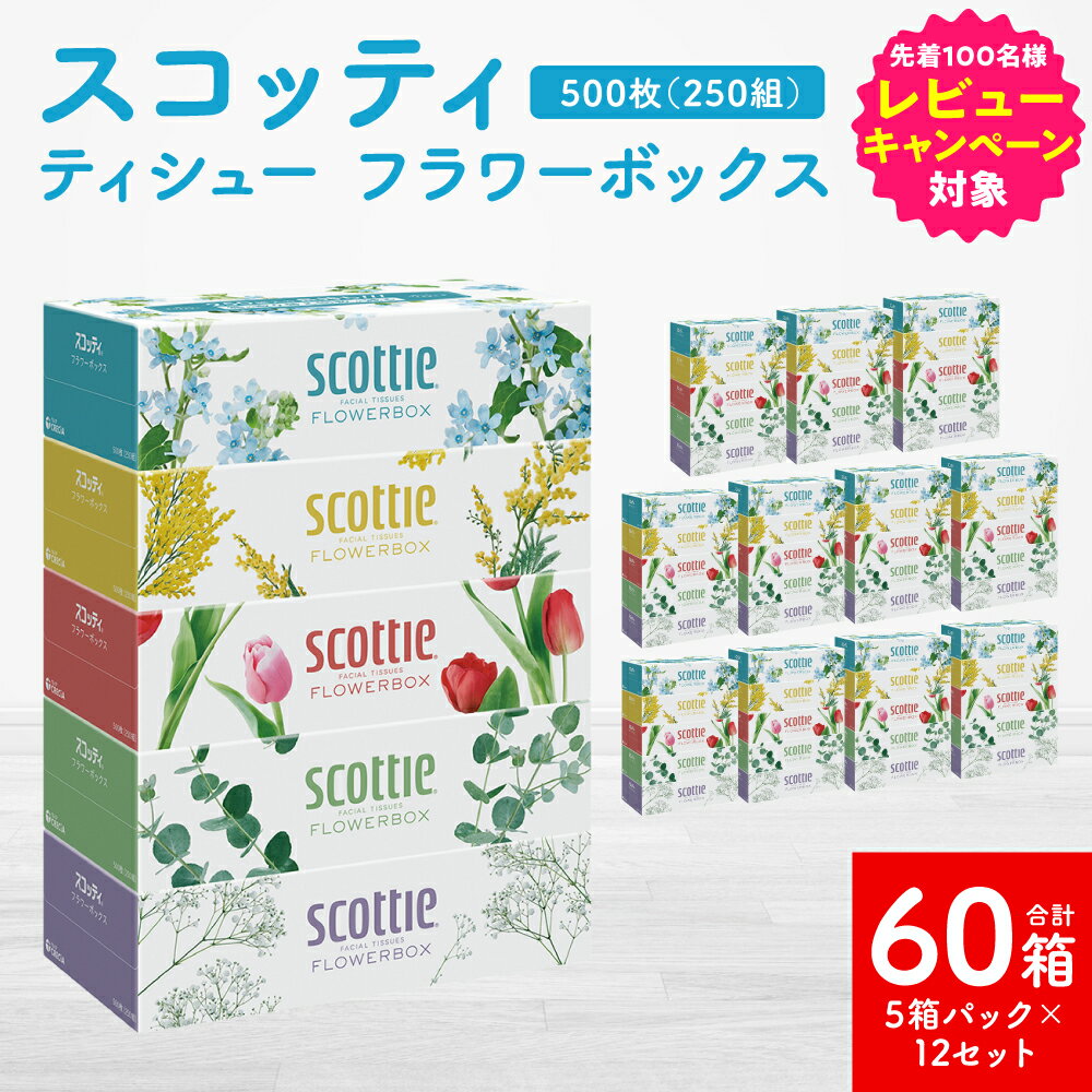 【ふるさと納税】【スコッティ】 ティシュー フラワーボックス 250組（5箱パック×12 合計60箱） ティッシュ 日用品 生活必需品 コンパクト 防災備蓄 ローリングストック 備蓄 長持ち 常備品 防災 生活用品 送料無料