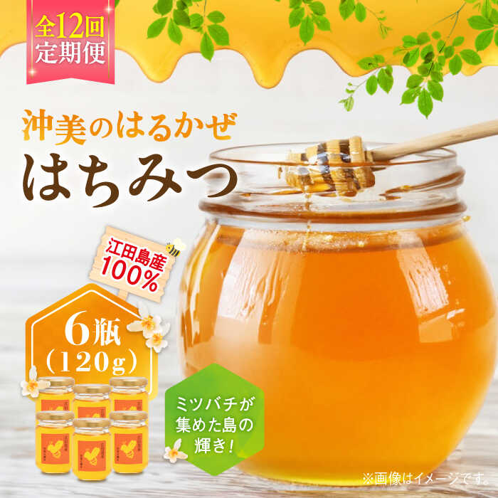 【ふるさと納税】【全12回定期便】江田島産100％ はちみつ 沖美のはるかぜ120g×6本 ハチミツ 蜂蜜 国産 広島 江田島市/はつはな果蜂園[XCD017] ハチミツ 国産蜂蜜 国産はちみつ 純粋はちみつ 人気 備蓄 非常食 保存食 産地直送 定期便