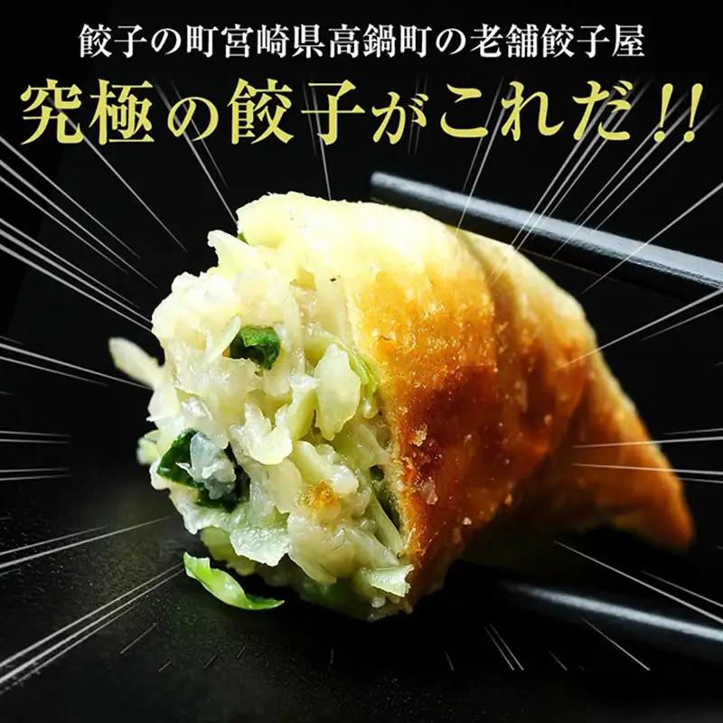 馬渡のもっちり 餃子 国産 肉 小分け 惣菜 人気 80個(40個×2パック)
