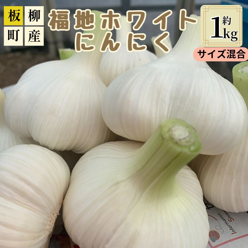 【ふるさと納税】サイズ混合にんにく約1kg（8～15玉程度）　お届け：2025年8月1日～2026年1月10日まで