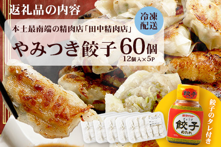 佐多の田中肉屋ニンニクたっぷりやみつき餃子 60個 (12個入り×5パック)【 餃子 手作り餃子 ぎょうざ ぎょーざ 惣菜 冷凍 餃子 国産 豚肉 タレ付き 南大隅町 田中精肉店】