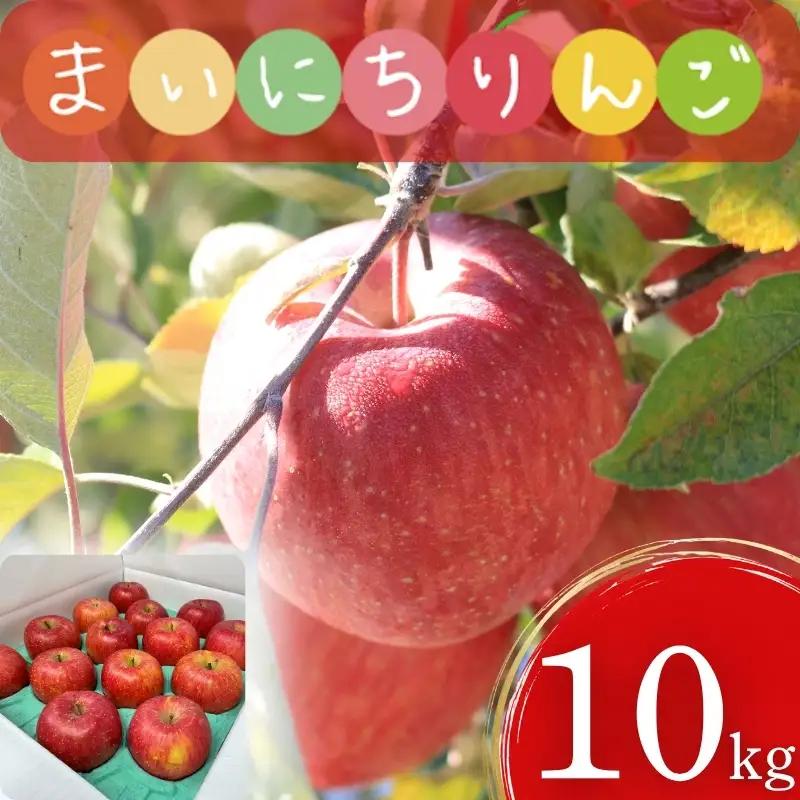 【12月上旬~発送】 りんご サンフジ 10kg 先行予約 訳あり 家庭用 ふじむら農園 fujimura006