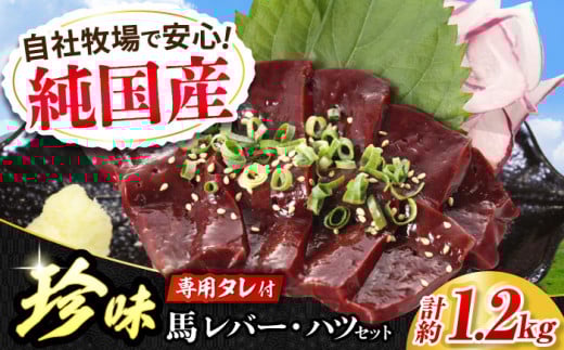 『純国産』熊本の味 馬 珍味 セット 計約1.2kg（200g×6セット）レバー ハツ 刺身 タレ付【有限会社 九州食肉産業】 [AYCN013]