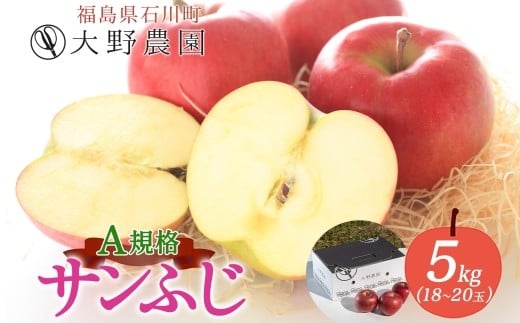 
            サンふじ 5kg A規格 18～20玉 ｜ りんご リンゴ 旬 林檎 果物 フルーツ 甘い アップル 産直 大野農園 福島県 石川町【19015】
          